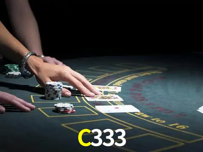 C333 Salvador - Support