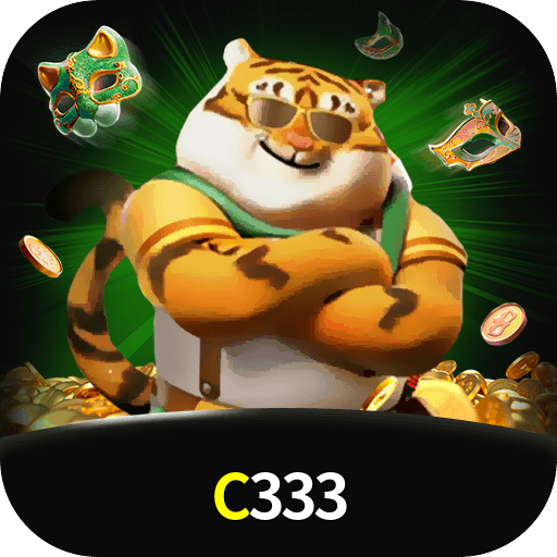 C333